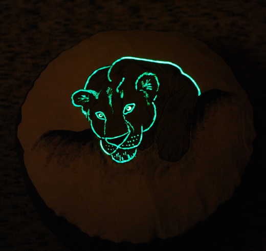 DSC_0674.JPG